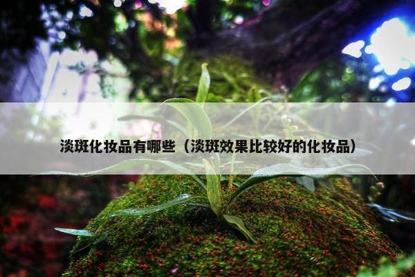 淡斑化妆品有哪些（淡斑效果比较好的化妆品）