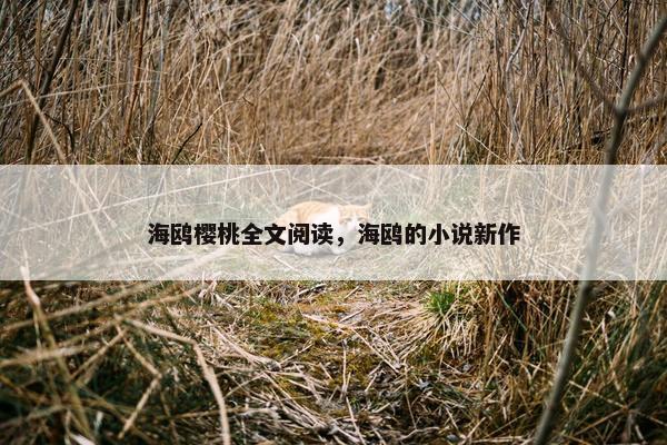 海鸥樱桃全文阅读，海鸥的小说新作