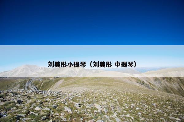 刘美彤小提琴（刘美彤 中提琴）