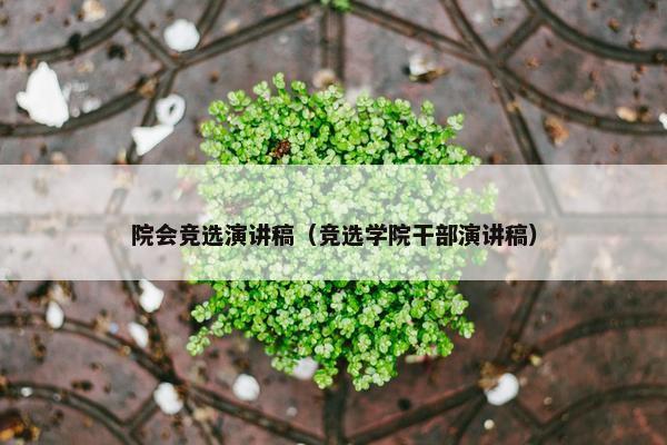 院会竞选演讲稿（竞选学院干部演讲稿）