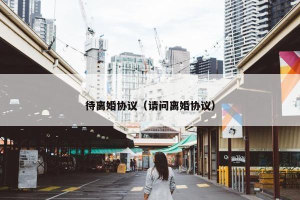 待离婚协议（请问离婚协议）