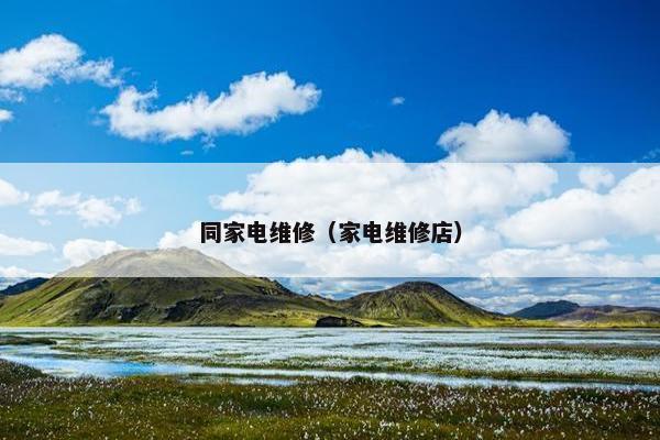 同家电维修（家电维修店）