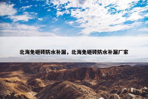 北海免砸砖防水补漏，北海免砸砖防水补漏厂家