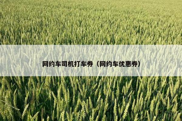 网约车司机打车券（网约车优惠券）