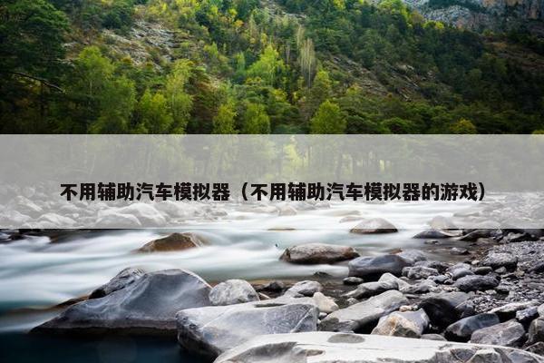 不用辅助汽车模拟器（不用辅助汽车模拟器的游戏）