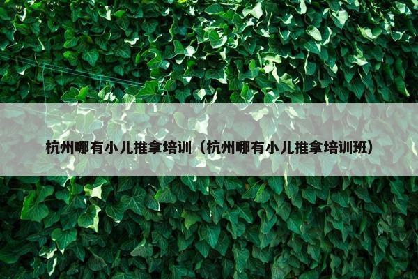 杭州哪有小儿推拿培训（杭州哪有小儿推拿培训班）