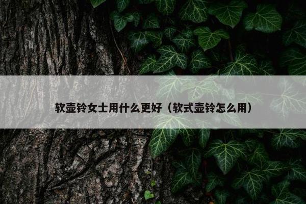 软壶铃女士用什么更好（软式壶铃怎么用）