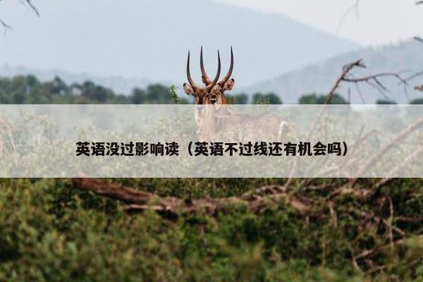 英语没过影响读（英语不过线还有机会吗）