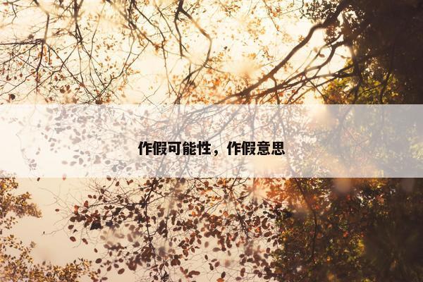 作假可能性，作假意思