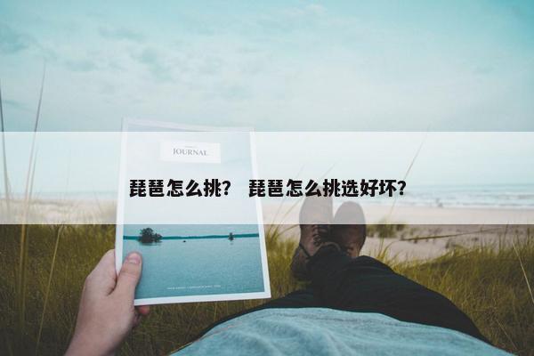 琵琶怎么挑？ 琵琶怎么挑选好坏？