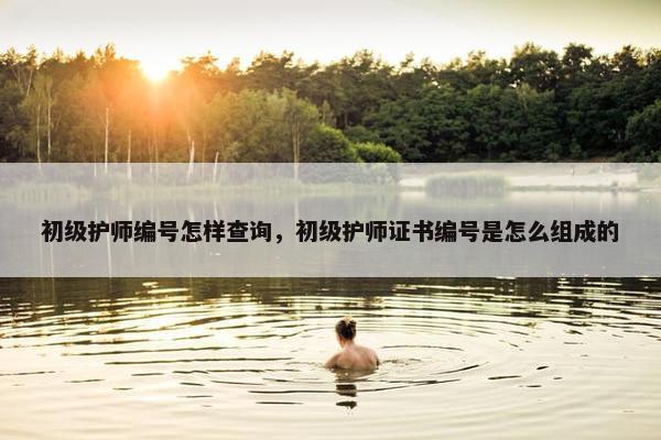 初级护师编号怎样查询，初级护师证书编号是怎么组成的