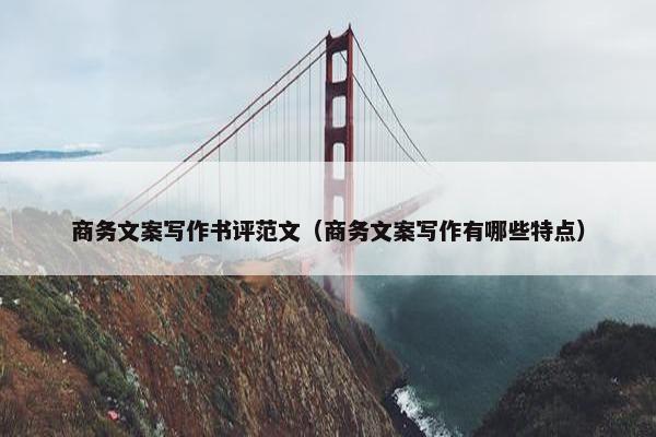 商务文案写作书评范文（商务文案写作有哪些特点）