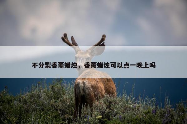 不分梨香薰蜡烛，香薰蜡烛可以点一晚上吗