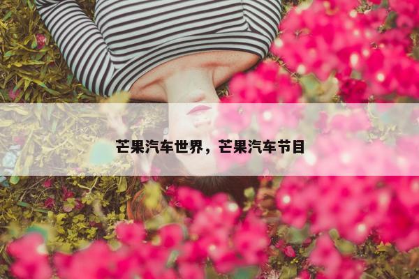 芒果汽车世界，芒果汽车节目