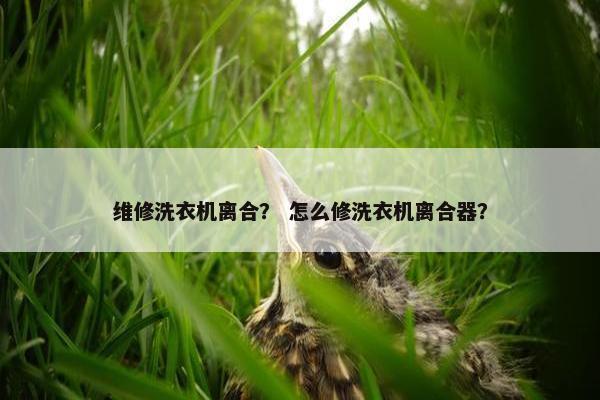 维修洗衣机离合？ 怎么修洗衣机离合器？