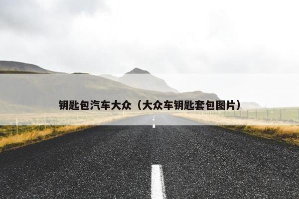 钥匙包汽车大众（大众车钥匙套包图片）
