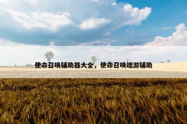 使命召唤辅助器大全，使命召唤端游辅助