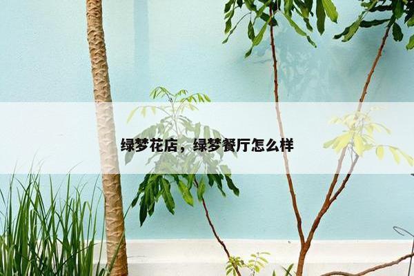 绿梦花店，绿梦餐厅怎么样