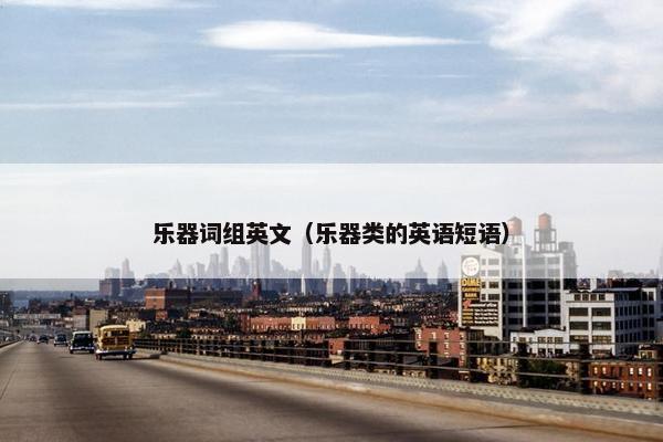 乐器词组英文（乐器类的英语短语）