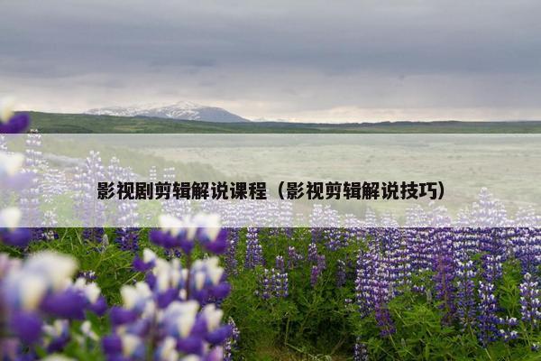 影视剧剪辑解说课程（影视剪辑解说技巧）