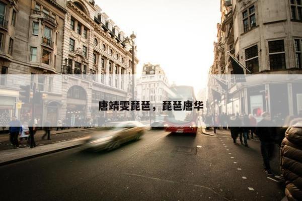 唐靖雯琵琶，琵琶唐华