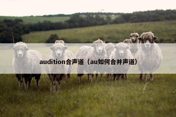 audition合声道（au如何合并声道）