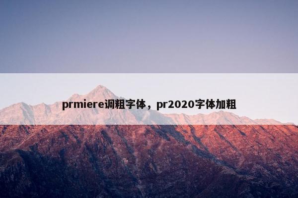prmiere调粗字体，pr2020字体加粗