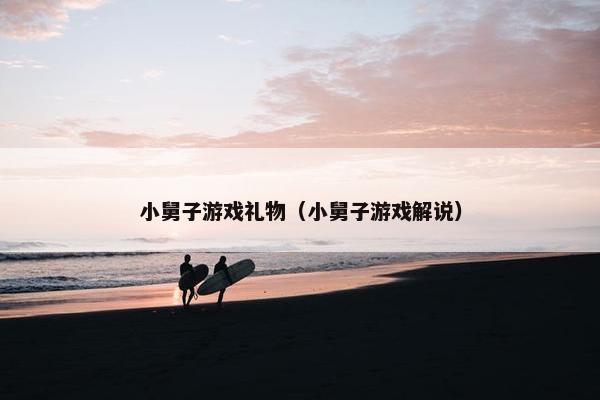 小舅子游戏礼物（小舅子游戏解说）