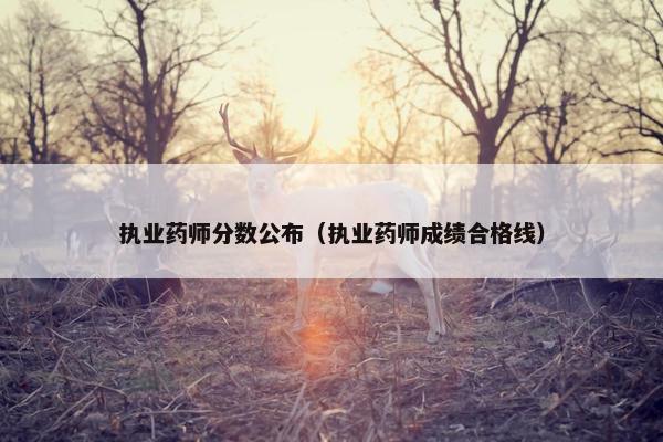 执业药师分数公布（执业药师成绩合格线）