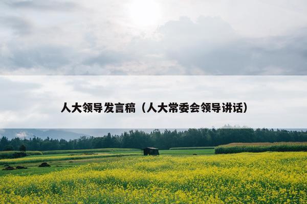 人大领导发言稿（人大常委会领导讲话）