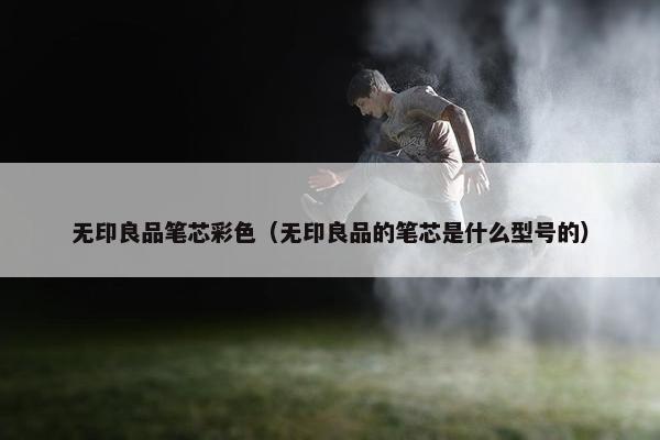 无印良品笔芯彩色（无印良品的笔芯是什么型号的）