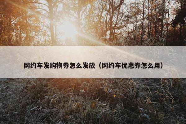 网约车发购物券怎么发放（网约车优惠券怎么用）