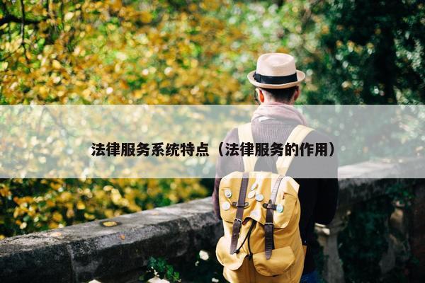 法律服务系统特点（法律服务的作用）