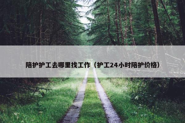 陪护护工去哪里找工作（护工24小时陪护价格）