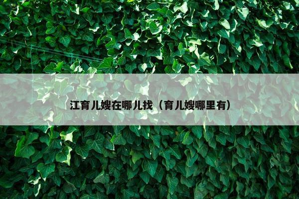 江育儿嫂在哪儿找（育儿嫂哪里有）