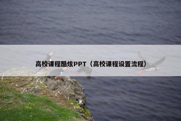 高校课程酷炫PPT（高校课程设置流程）