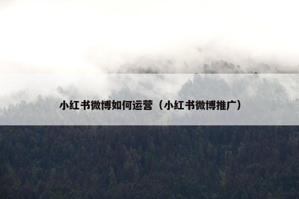 小红书微博如何运营（小红书微博推广）