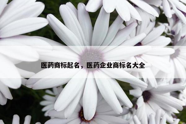 医药商标起名，医药企业商标名大全