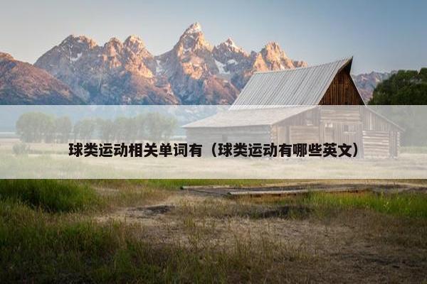 球类运动相关单词有（球类运动有哪些英文）