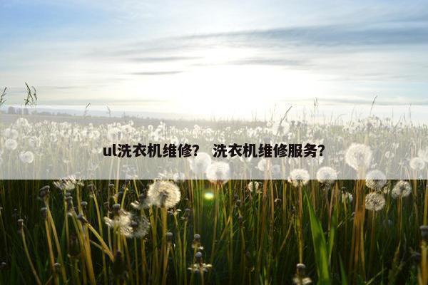 ul洗衣机维修？ 洗衣机维修服务？
