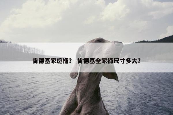 肯德基家庭桶？ 肯德基全家桶尺寸多大？