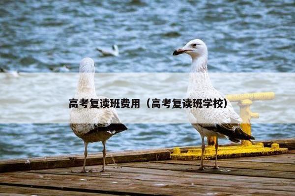 高考复读班费用（高考复读班学校）