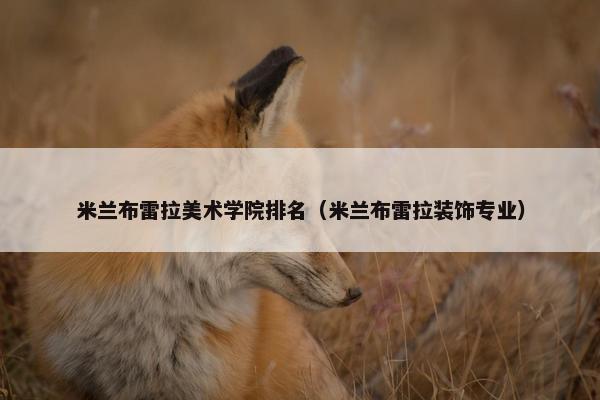 米兰布雷拉美术学院排名（米兰布雷拉装饰专业）