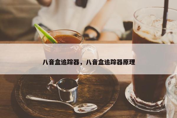 八音盒追踪器，八音盒追踪器原理