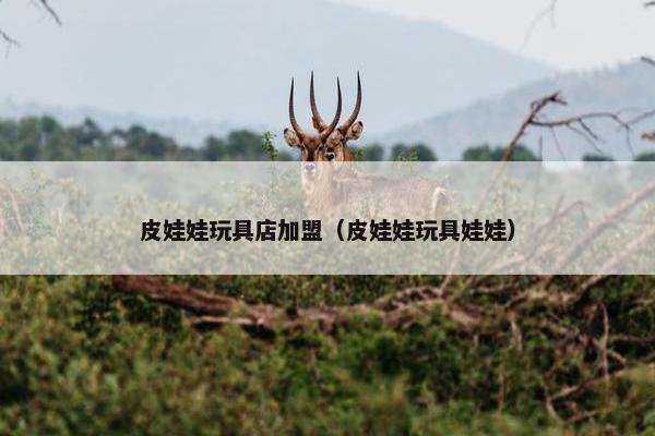 皮娃娃玩具店加盟（皮娃娃玩具娃娃）