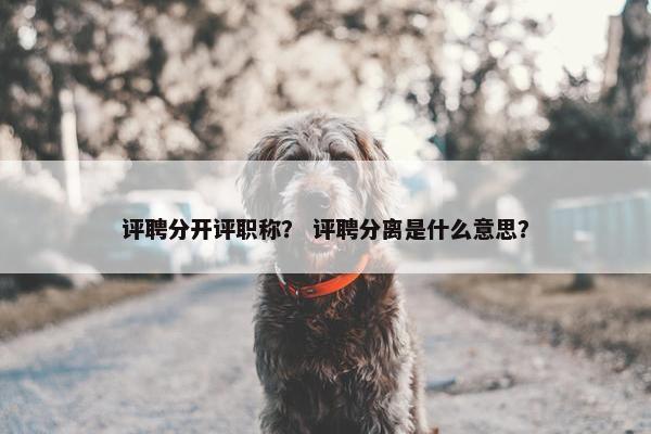 评聘分开评职称？ 评聘分离是什么意思？