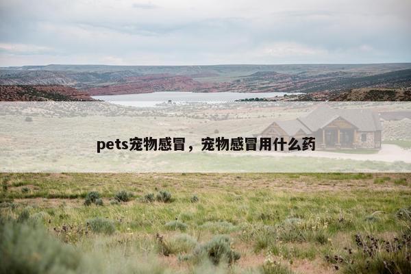 pets宠物感冒，宠物感冒用什么药
