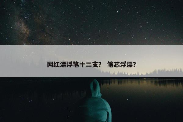 网红漂浮笔十二支？ 笔芯浮漂？