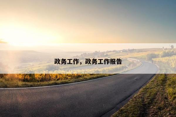 政务工作，政务工作报告