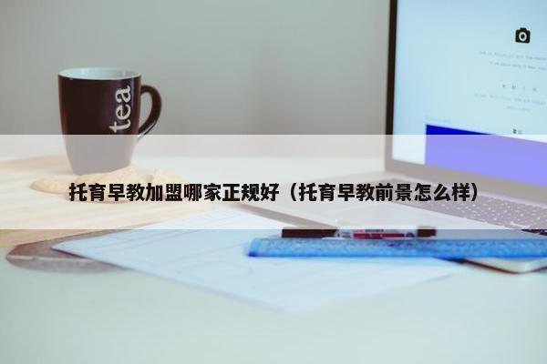 托育早教加盟哪家正规好（托育早教前景怎么样）